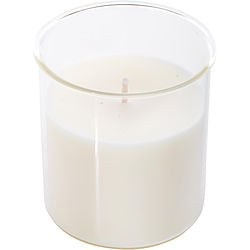 Fragrance Free Esque Candle Insert 9 Oz