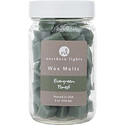 Evergreen Forest Simmering Fragrance Chips - 8 Oz Jar Containing 100 Melts