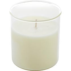 Celeste Fig & Melon Esque Candle Insert 9 Oz