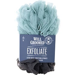 Spa Accessories Exfoliate Extra Rough Smoothing Sponges 2 Pack - Charcoal/Marine Mist